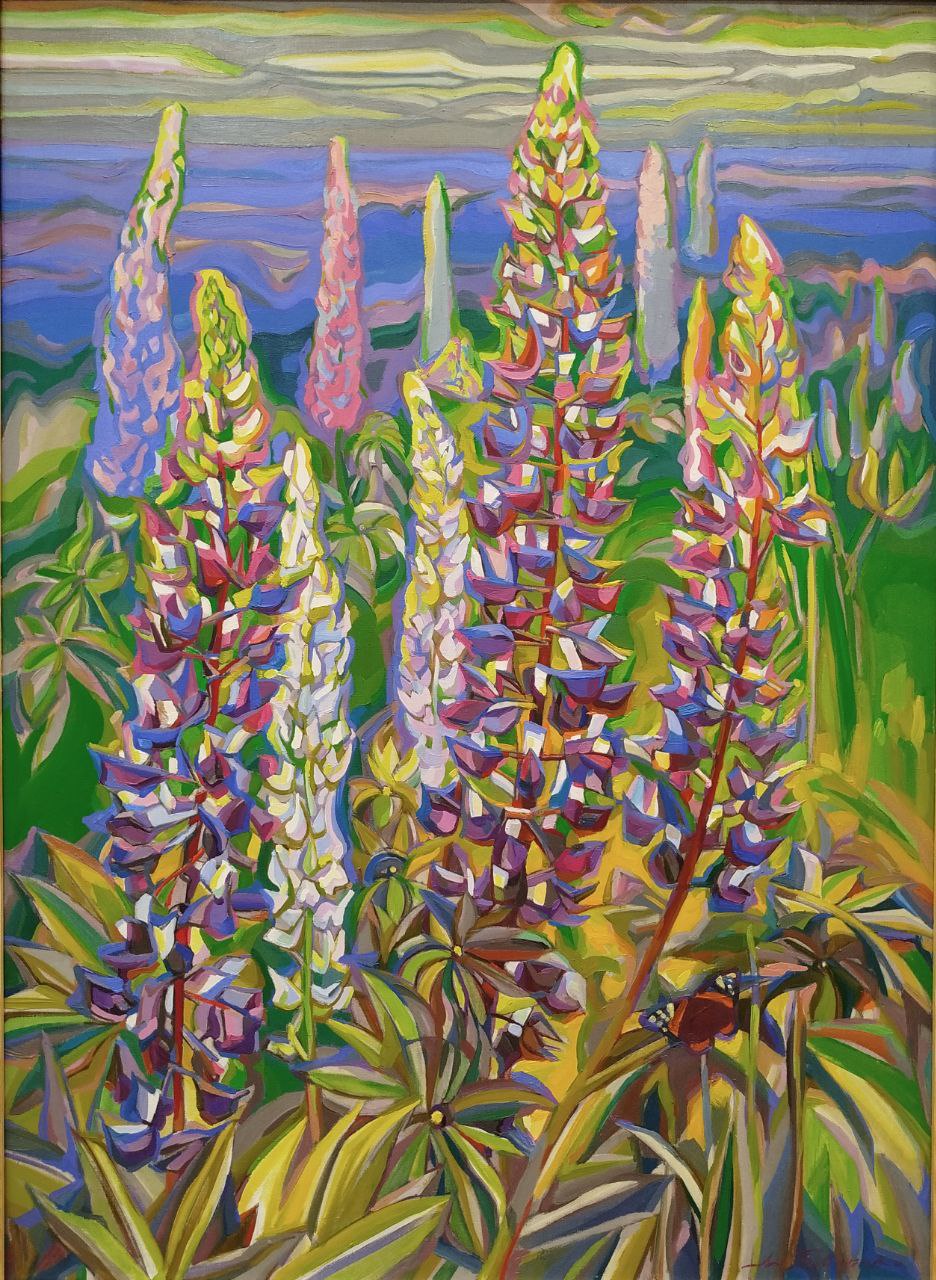 Blooming lupine